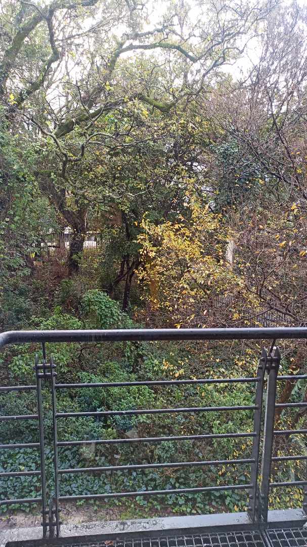 To Let commercial Property for Rent in Newlands Western Cape